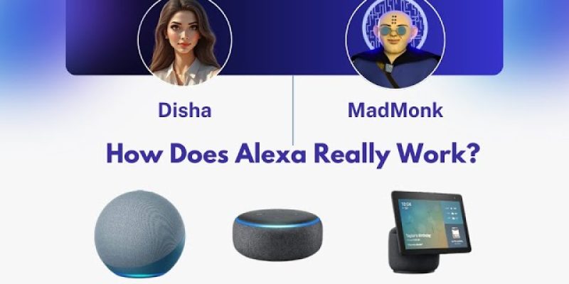 MadMonk Alexa